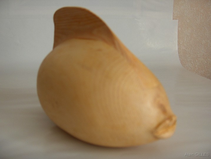 2007-11_Ensemble-sculptures-et-reliefs_10.jpg - Poisson (pin cembro ou arole - 13 x 10 x 18 cm)